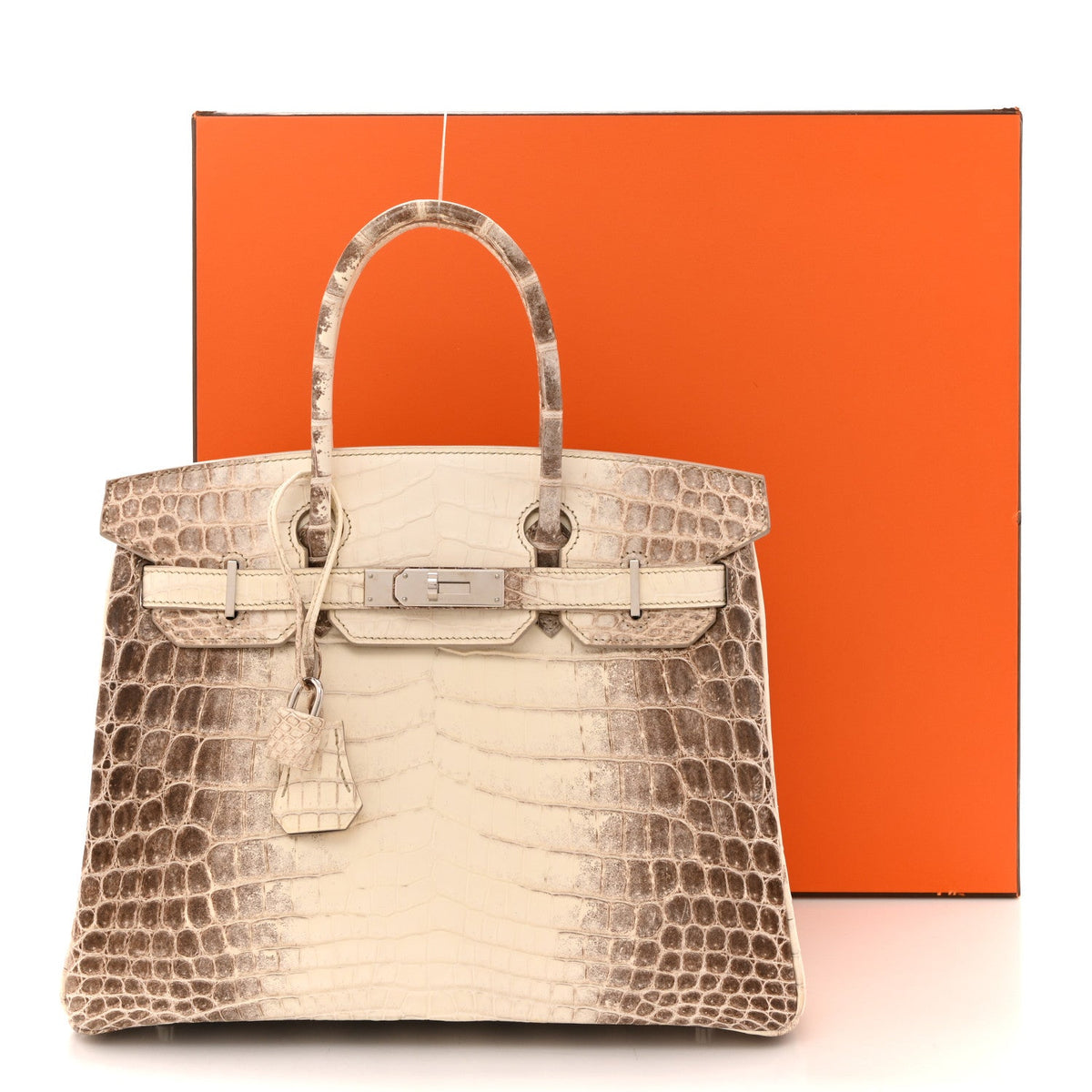 Matte Niloticus Crocodile Himalaya Birkin 30 Blanc